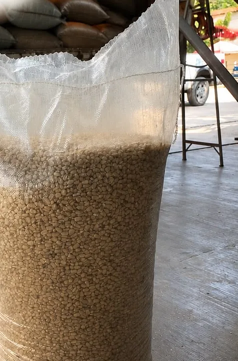 Costal de rafia transparente de 50 kg lleno de grano, en el andén de carga